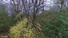 Lejlighed til leje, Brønshøj, &lt;span class=&quot;blurred street&quot; onclick=&quot;ProcessAdRequest(1285170)&quot;&gt;&lt;span class=&quot;hint&quot;&gt;Se vej-navn&lt;/span&gt;[xxxxxxxxxx]&lt;/span&gt;